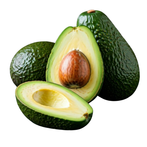 Fuerte Avocado